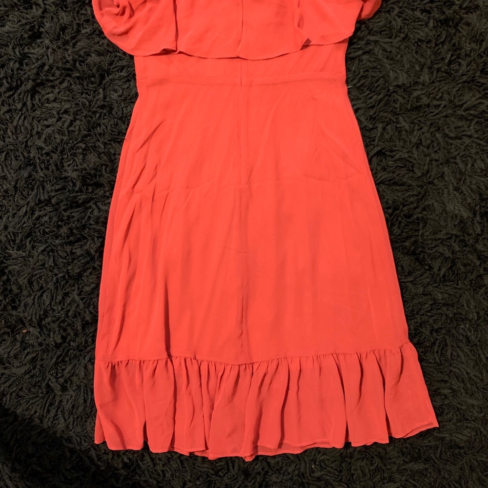 Express Dress - Picture 3 of 3